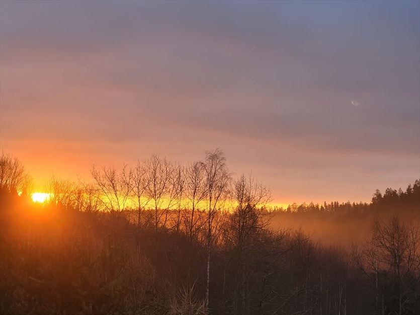 Niezapomniane widoki, warsztaty dla dzieci i zagroda ze zwierzętami, Zagroda Studzienno, Studzienno